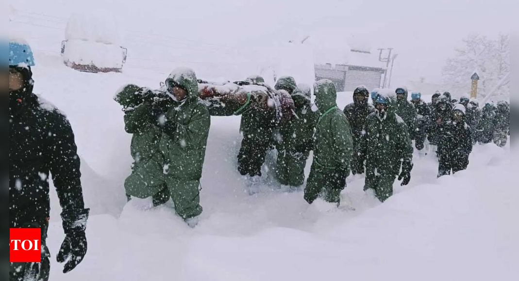 ‘Heard loud roar, then everything went dark ...': Survivors recall Avalanche horror