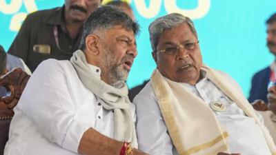 Karnataka to see ‘rotational CM’? MLA claims Shivakumar will take over in December | India News – The Times of India