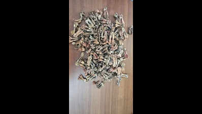 3 arrested for smuggling monitor lizards’ genitals | Pune News - The ...