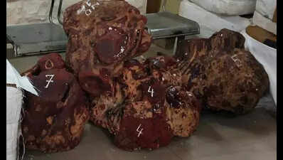 Cops seize 15 tonnes of smuggled red sandalwood at Urse toll plaza, 2 detained