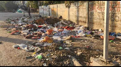 Not enough sanitation workers, waste piles up on roads and vacant plots ...