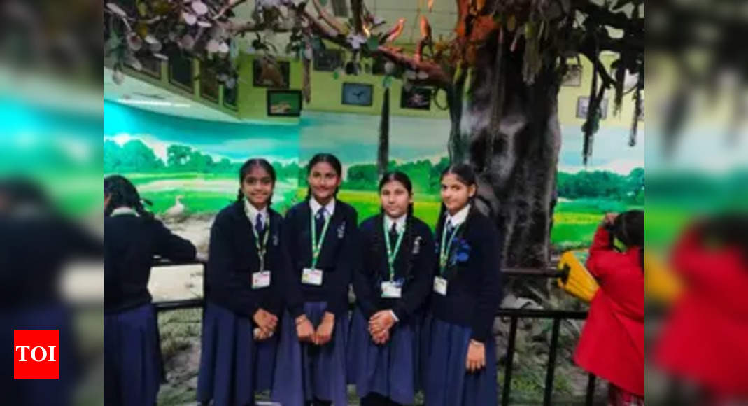 Punjab govt allocates 6.65 cr to conduct psychometric tests for Class 10 female students to help them make better career choices - The Times of India