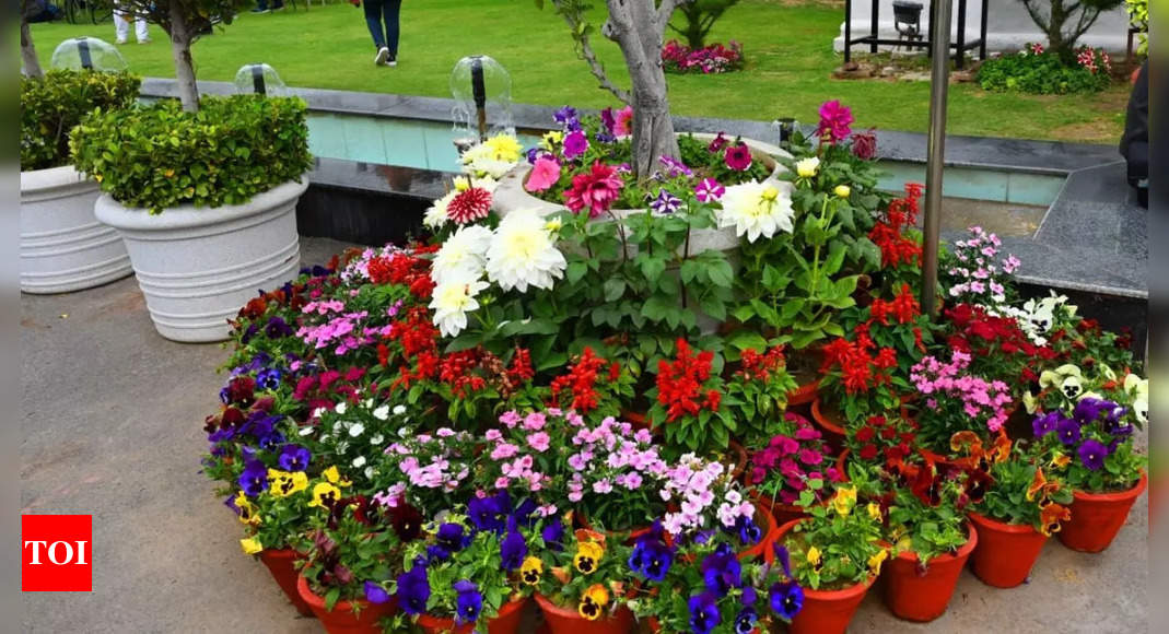 Political drama amidst floral bloom at Delhi assembly