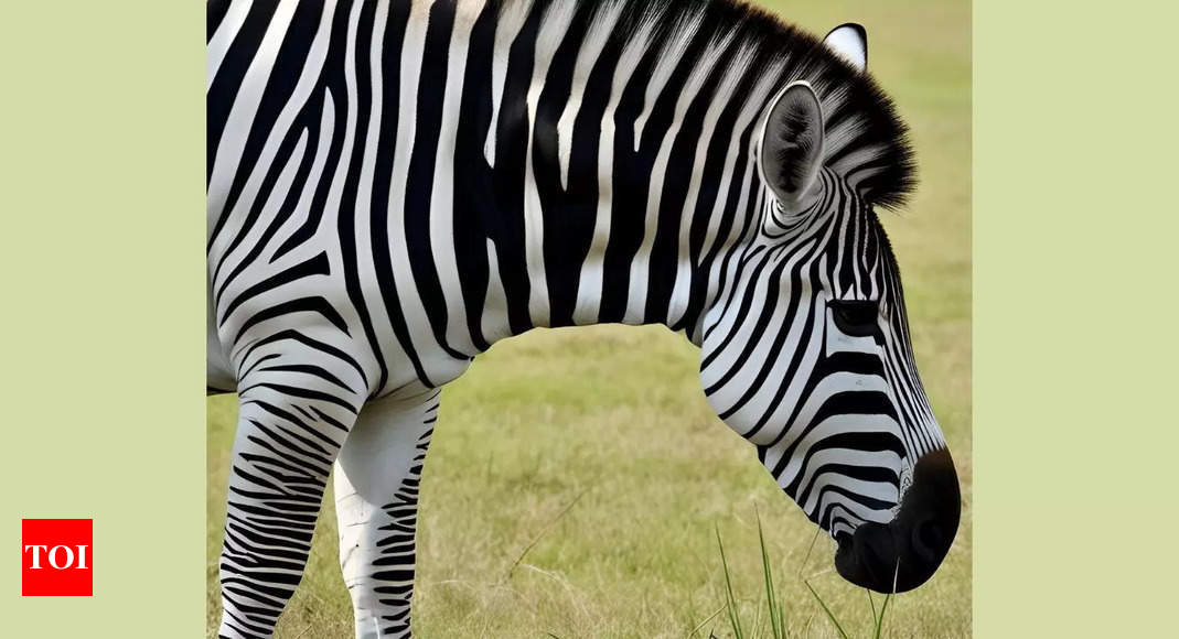 This grass eating animal can kill lions and tigers