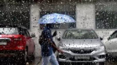 Excess rain in south, heatwave in north Karnataka in March-May: IMD