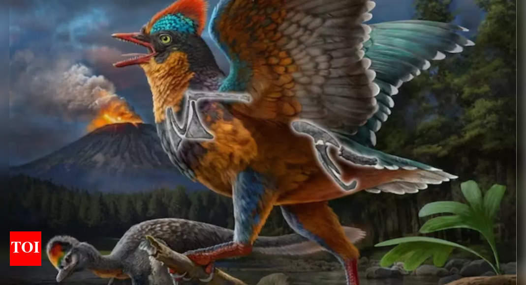 Jurassic-era fossil discovery in China challenges existing theories on bird evolution