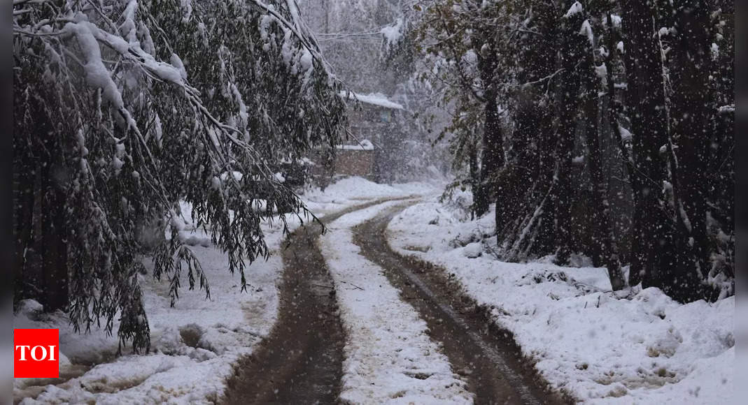 Jammu and Kashmir weather report: Extreme cold and snowfall continue to grip the region