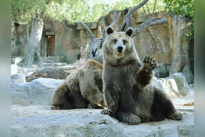 The world's most iconic zoos that combine conservation and adventure