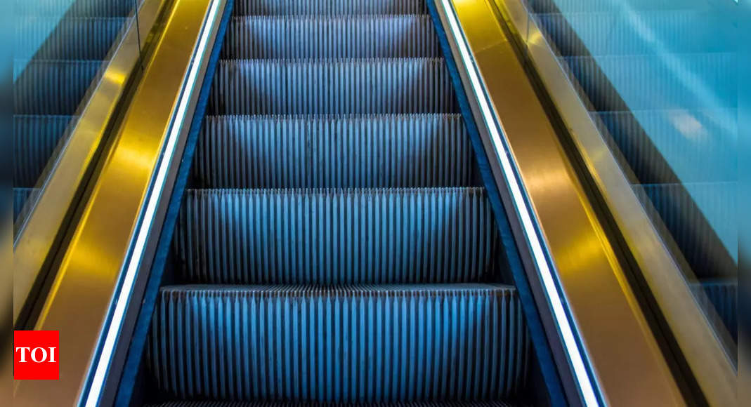 Why do escalators have brushes? Their secret purpose most people don't know