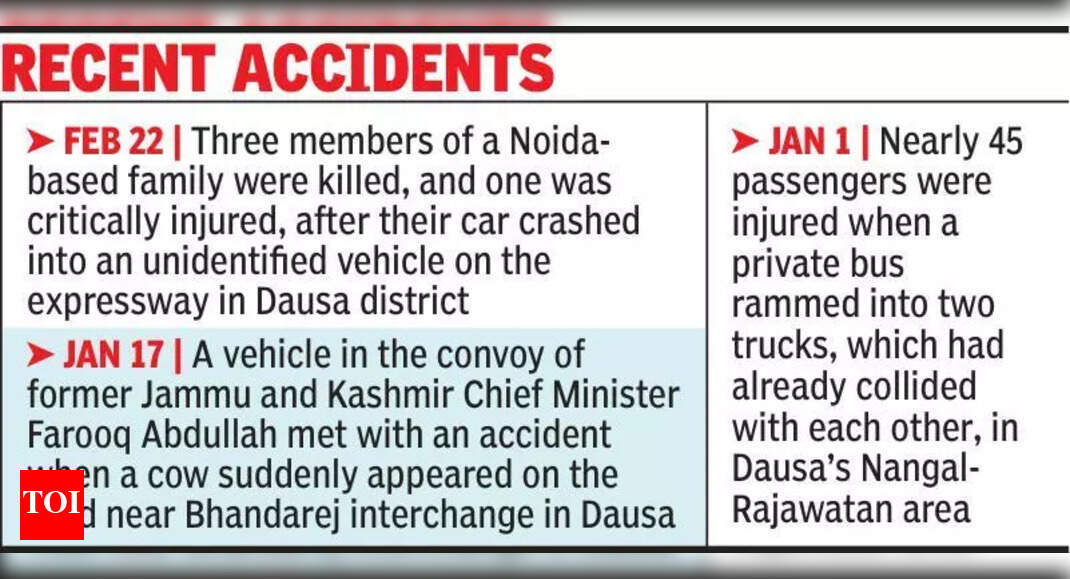 2 killed, 4 hurt in 2 accidents on Del-Mum eway in Dausa | Jaipur News ...
