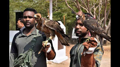 ‘Pushpa’ joins India’s only avian squad trained to hunt drones ...