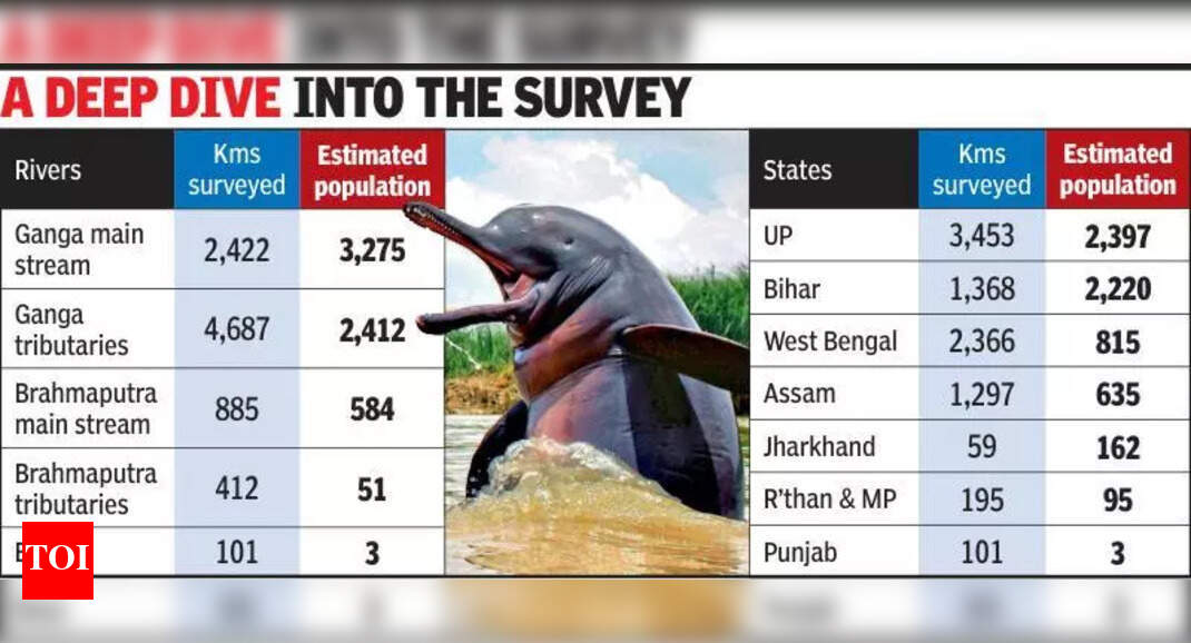 6,327 river dolphins in India, shows survey | Ahmedabad News - The ...