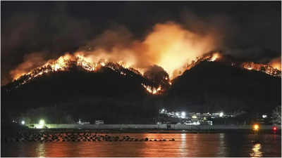 Japan fights forest fire that damaged dozens of homes, caused hundreds to evacuate