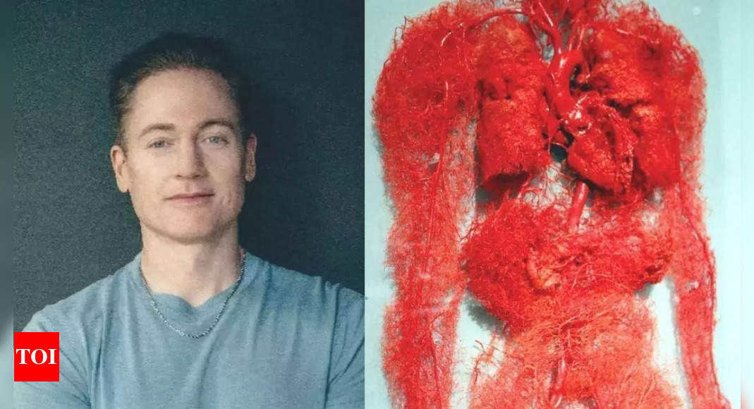 Bryan Johnson's take on the human vascular system sparks debate across the web