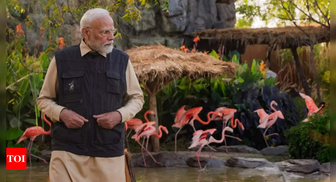 Anant Ambani's Vantara through PM Narendra Modi's eyes: A walkthrough of the world's largest wildlife rescue & rehabilitation centre