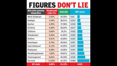 Andhra Pradesh govt aims to achieve zero poverty by 2030