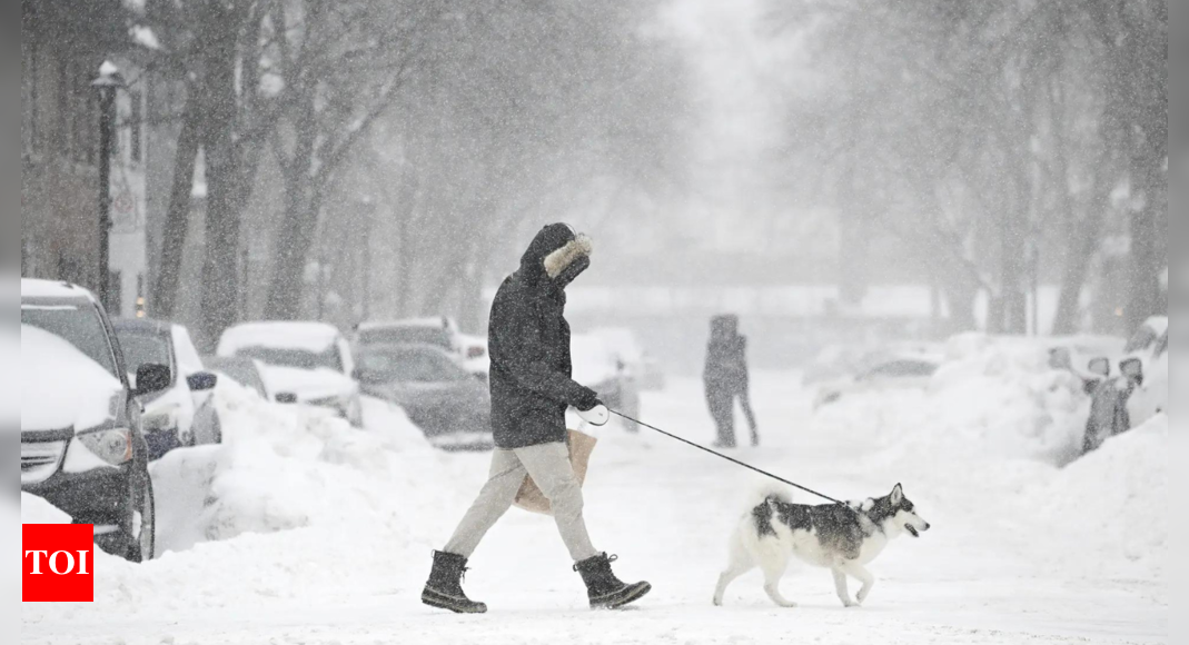 Deep freeze incoming in US, Canada, and UK? How polar vortex collapse will plunge temperatures