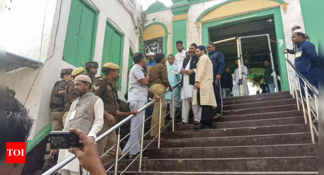 Allahabad HC accepts plea to refer to Sambhal mosque as ‘disputed’