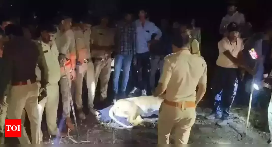 Gujarat farmer mauled to death by lioness