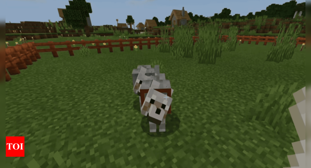 How to tame and use dogs in Minecraft?