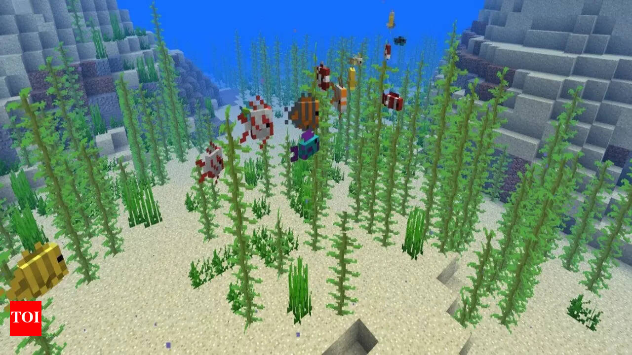 minecraft fishing loot chances