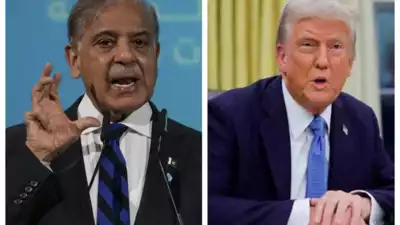 Shehbaz Sharif reacts as Donald Trump thanks Pakistan for help in arrest of Kabul Airport bomber