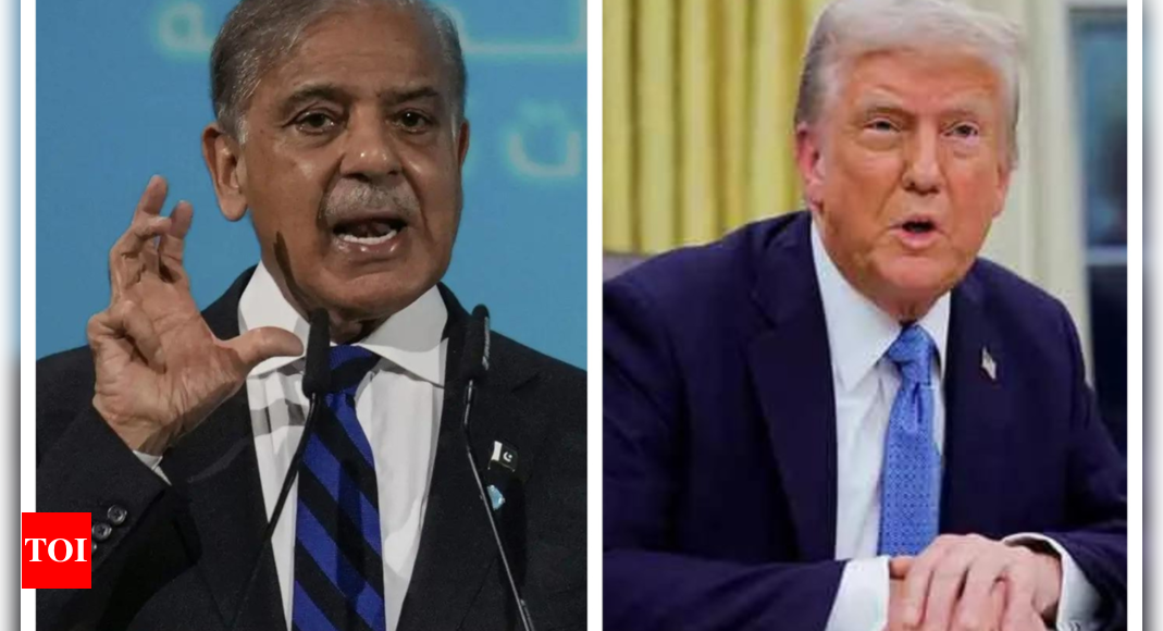 Shehbaz Sharif reacts as Donald Trump thanks Pakistan for help in arrest of Kabul Airport bomber