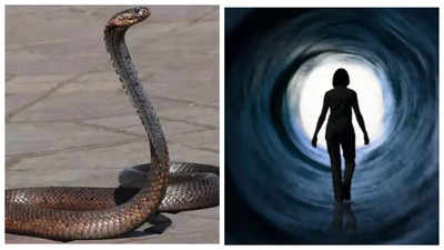 From seeing snakes to death: Common dreams and what they mean as per Hinduism