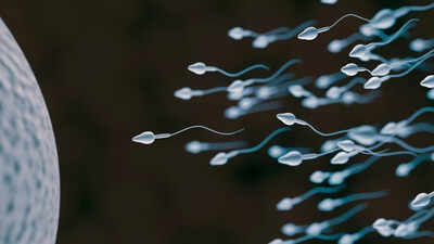 Human sperm challenges one of the universal laws of physics, here’s how