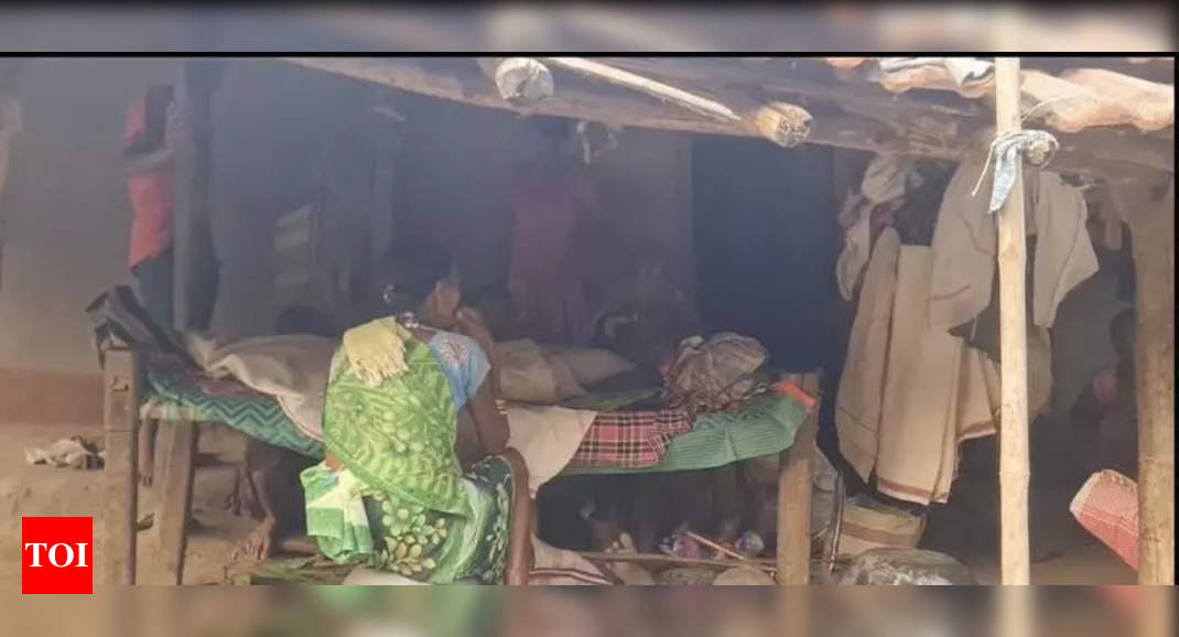 All suffered chest pain & cough: Alarm after 13 mystery deaths in Chhattisgarh village