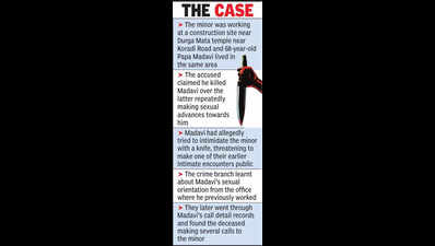 Senior citizen’s murder mystery cracked, cops nab 17-yr-old from MP