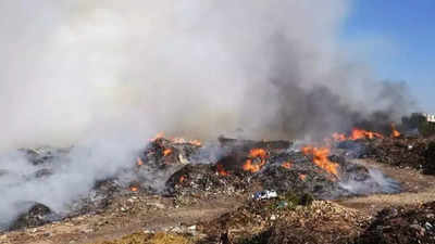 Suicide bid? How a bidi led to fire at Noida waste dumping yard