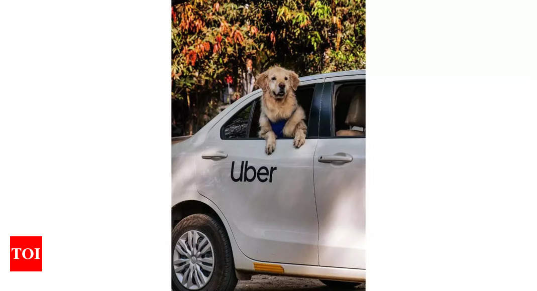 Uber Pet service rolls out in Delhi and Mumbai: Here’s how to book