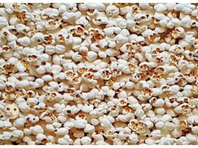 Optical illusion: Only those with a sharp vision can find the cat hiding in the popcorn in just 10 seconds