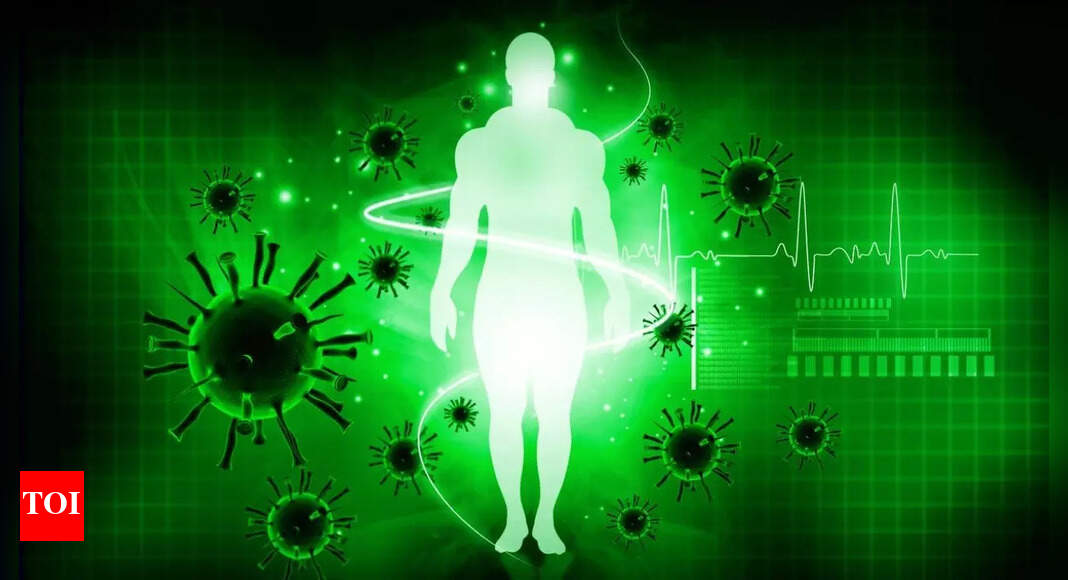 Hidden immune system part uncovered by scientists and it could crush antibiotic resistance