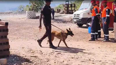 T govt flies in two Army dogs to trace 8 trapped workers