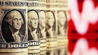 Dollar rally may lose steam as tariffs hurt consumption: S&P