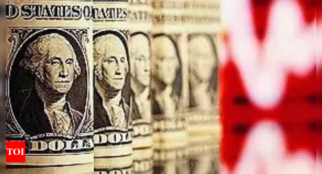 Dollar rally may lose steam as tariffs hurt consumption: S&P