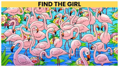 Optical illusion: Only a genius can spot the girl among Flamingos in 5 seconds