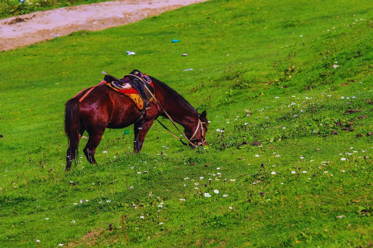 Yusmarg