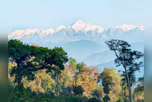 A quick guide to India&rsquo;s most scenic biosphere reserves