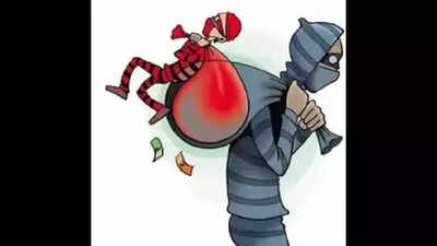 Burglars decamp with valuables worth Rs12 lakh from two Barh residences