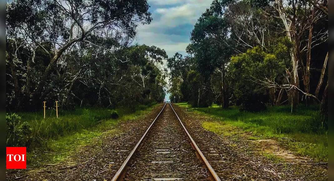 India's Leap into Sustainable Railway Innovation with Hydrogen-Powered Train