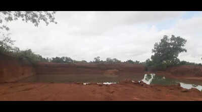 NGT orders fresh probe by Khurda DM into ‘illegal’ laterite mining