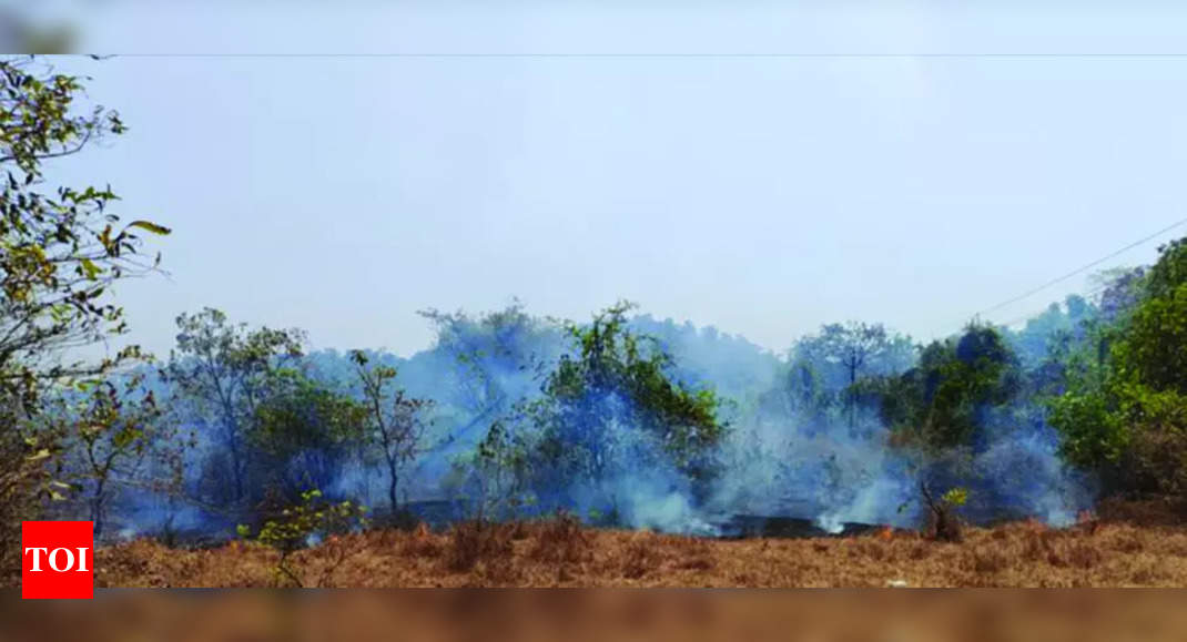 Dry grass fire destroys plantations at Agonda