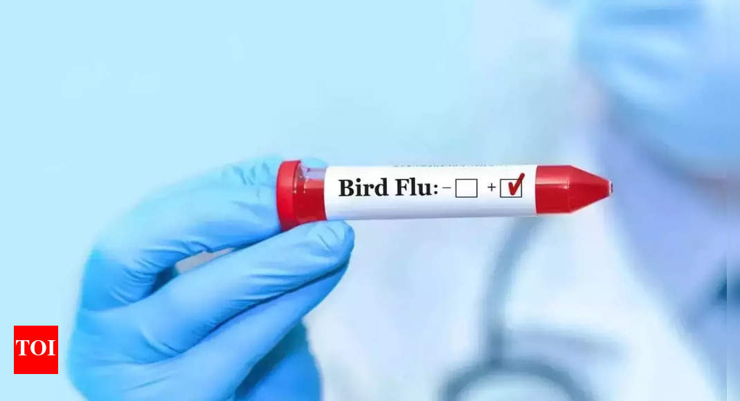 Bird flu outbreak reported in Jharkhand's Bokaro after Ranchi