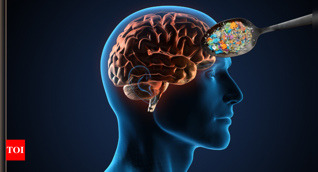 Do you really have a spoonful of microplastics in your brain?