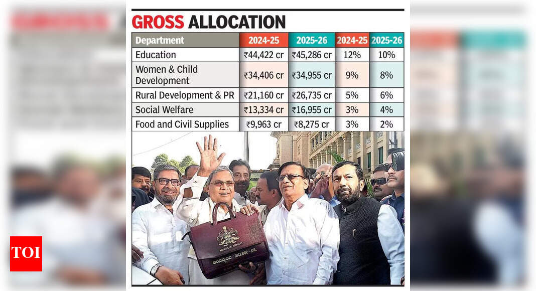 Concerns over education, welfare allocations in state budget - The Times of India