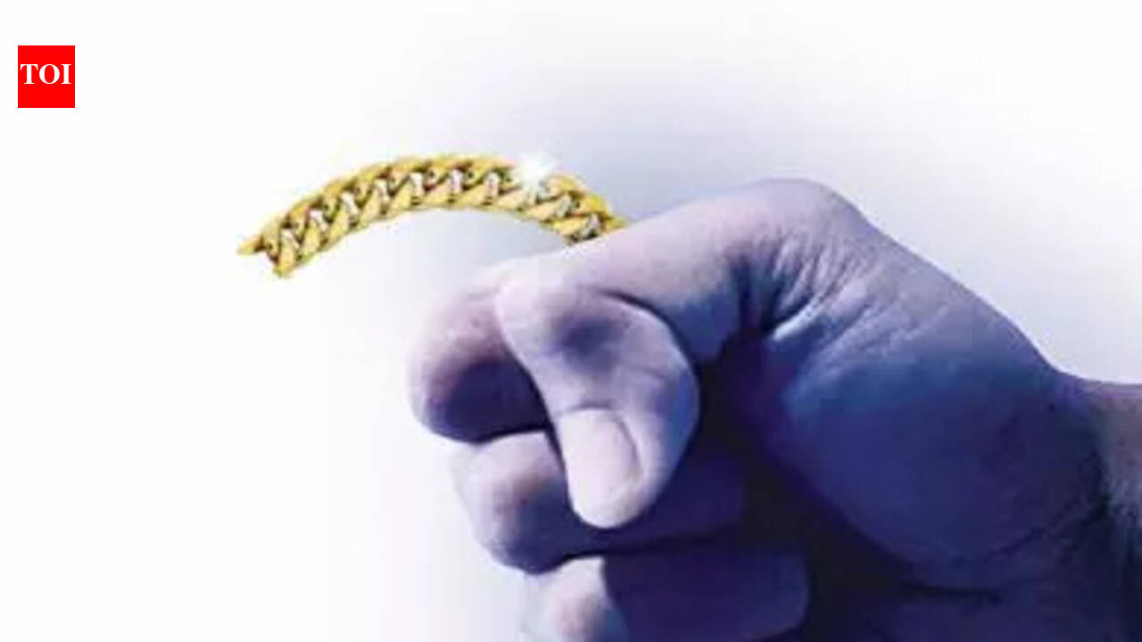 Bike-borne men snatch gold chain from morning walker | Indore News ...