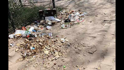 Only 20 sanitation workers for 20km: Waste piles up on roads and footpaths in Sector 21